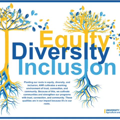 two interconnecting trees that help to form the words equity, diversity, and inclusion as intertwined roots.