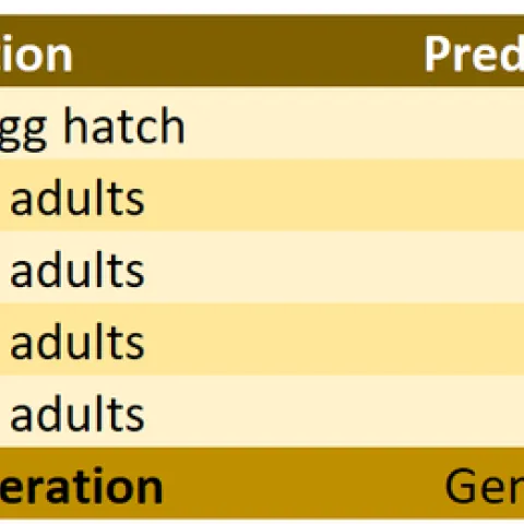 20240429 5th report table
