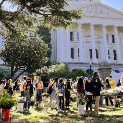 Large group of people in from of the CA state capital.