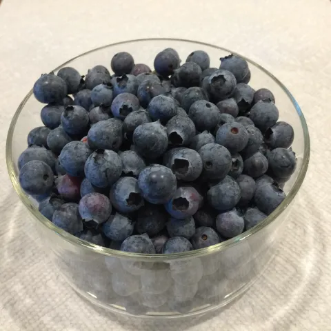 Bowl of blueberries