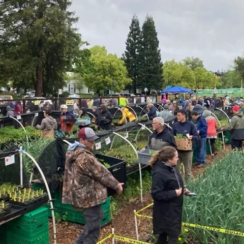 Customers load up on the offerings at the Our Garden Walnut Creek GTPS. Photo by Greg Letts.