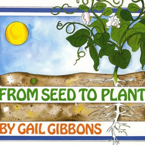 From Seed to Plant