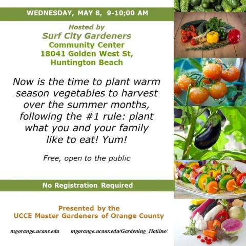 Spring into Action: Grow Your Own Bounty! Plant now for a summer harvest. Join us for tips and tricks!