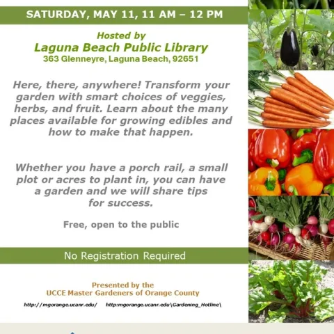 From Patio to Plot: Master the Art of Anywhere Gardening! Don't miss our tips for growing food in any space.