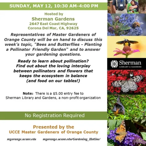 Buzz Over to Our Booth! Explore the world of pollinators and plants. Let's talk bees and butterflies.