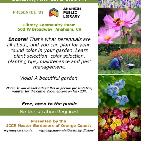 Create a Colorful Oasis: Master Perennials for Year-Round Beauty and the Secrets of Perennial Gardening.