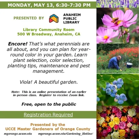 Transform Your Garden with Perennials Zoom Encore! Unleash Year-Round Beauty. Sign Up Now!