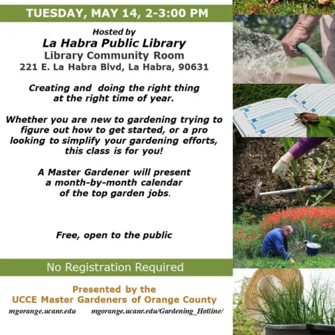 Master Your Garden Year-Round: Join Busy Gardener Month-to-Month! From Newbies to Pros.