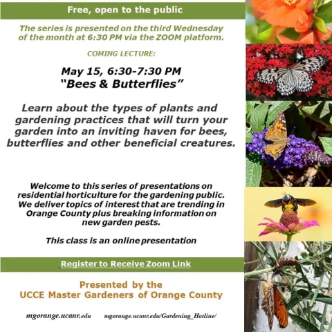 Discover the Secret to Buzzing Gardens! Free Bee & Butterfly Event - Reserve Your Spot.