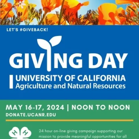 4-H Giving Day Image