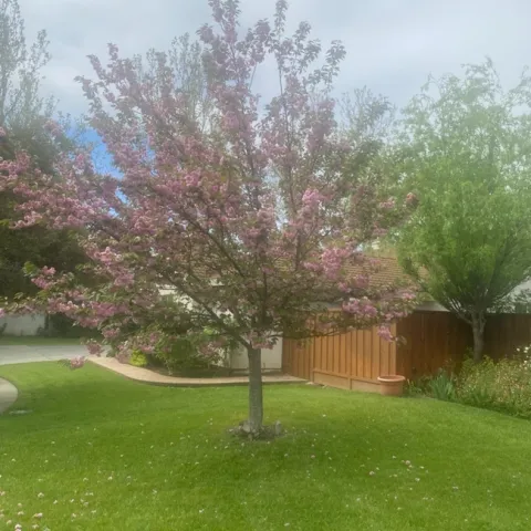 photos by Mike Gunther