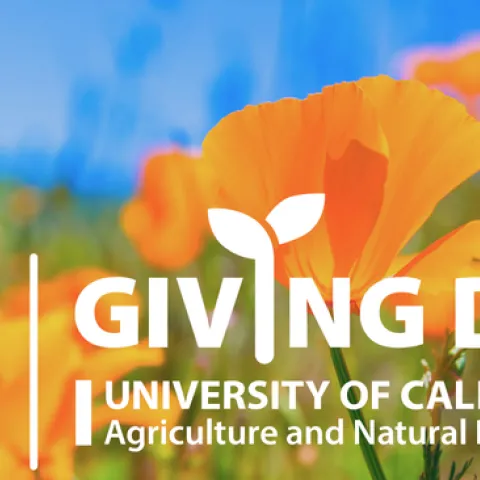 Save The Date for #Giving Day May 16-17