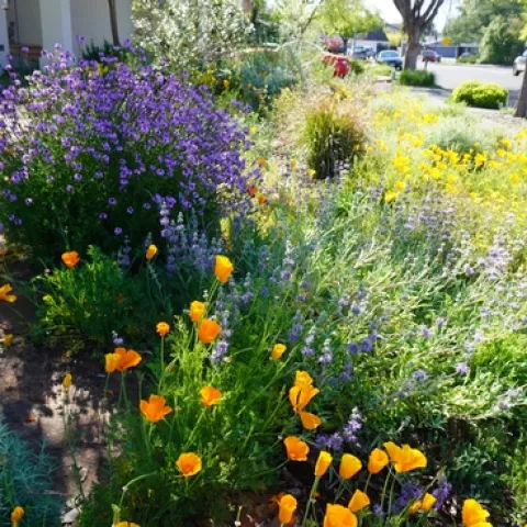 DSC03284 photo by author