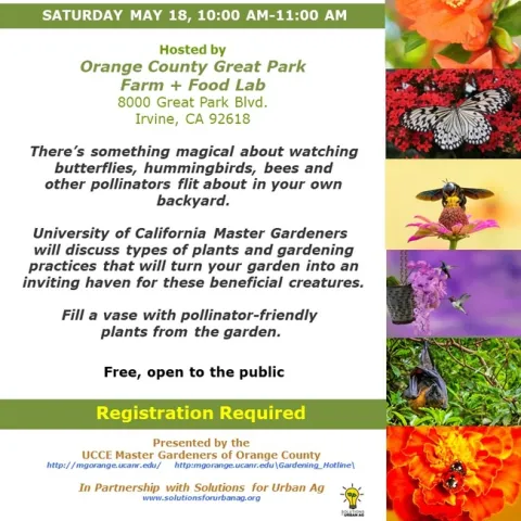 Transform Your Garden: Join Us for Pollinator Paradise