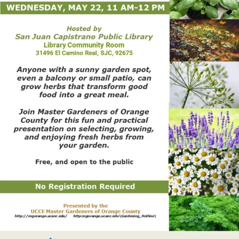 Elevate Your Cuisine: Master the Art of Growing Fresh Herbs