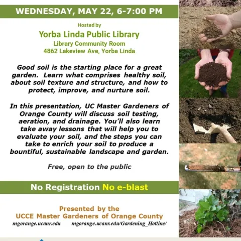 Nourish Your Garden: Unveil the Mysteries of Soil Health