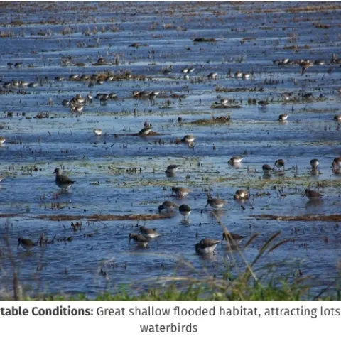 Screenshot 2024-05-15 at 2.37.53?PM copy