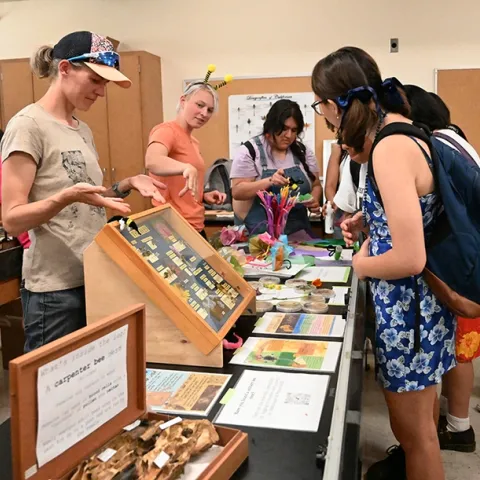 UC Davis community ecologist Rachel Vannette (foreground), associate professor and vice chair of the UC Davis Department of Entomology and Nematology, answers questions at the UC Davis Picnic Day. In back is doctoral candidate Gillian Bergmann, who is advised by Vannette and Johan Leveau. (Photo by Kathy Keatley Garvey)