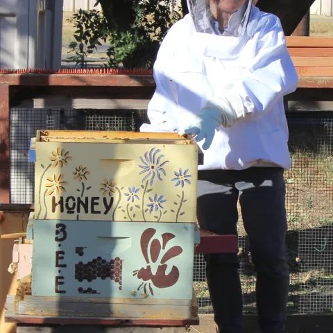 Connie inspects our bee hive