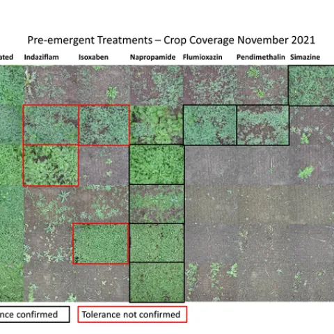 Pollinator habitat coverage in response to herbicide treatments