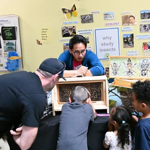 UC Davis entomology graduate student Richard Martinez encourages attendees to find the queen in the bee observation hive. (Photo by Kathy Keatley Garvey)