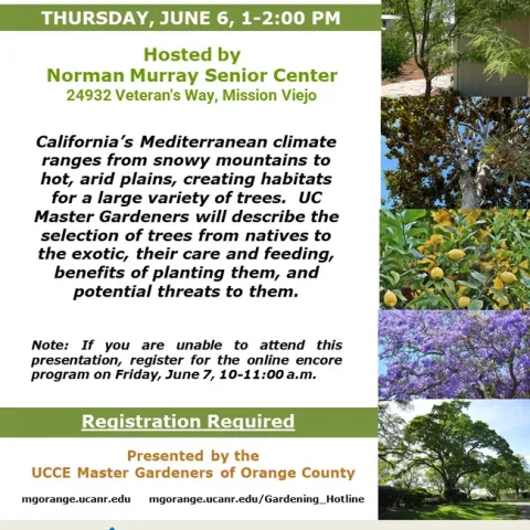 Discover the Best Trees for CA Landscapes – Join Our Expert Workshop
