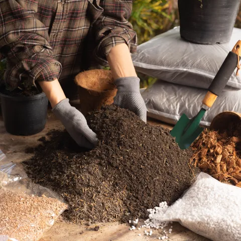 A woman builds her own potting soil. Courtesy Shutterstock.