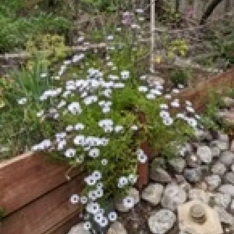 photo by Michelle Krespi