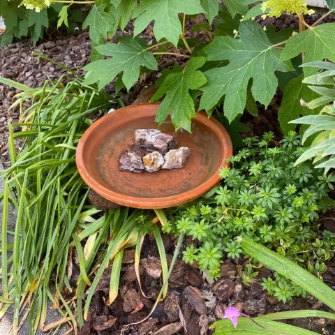 photos by Peggy Smith