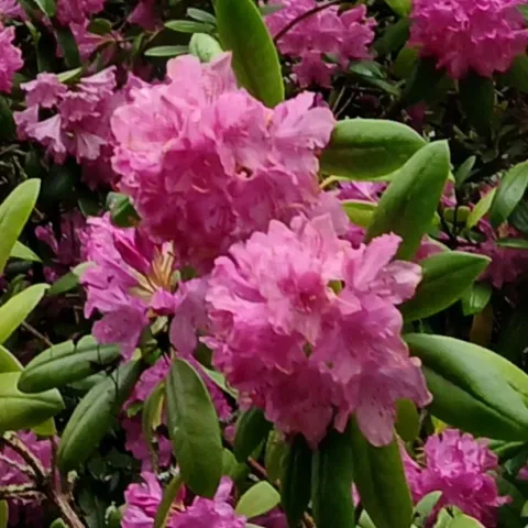 photos by Lanie and Jenny Keystone