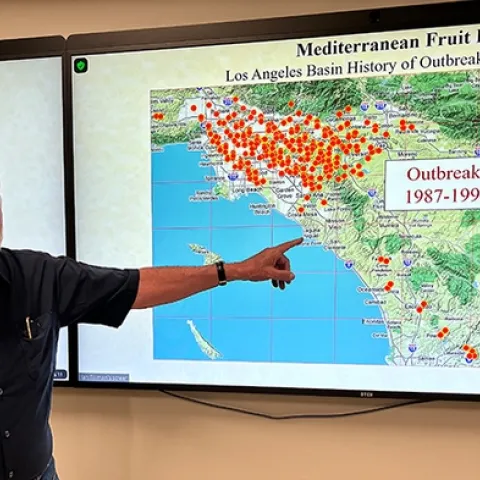 UC Davis distinguished professor James R. Carey presented a seminar on "California's Fruit Fly Invasion: A 70-Year Struggle Nears Critical Mass" on June 3 in Briggs Hall, UC Davis campus, and on Zoom. (Photo by UC Davis distinguished professor Walter Leal)