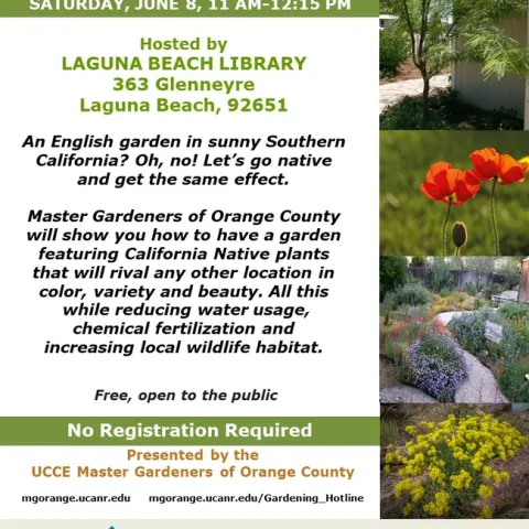 Enhance Your Garden's Beauty with California Natives