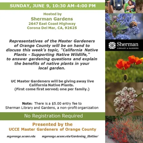 Discover the Benefits of Native Plants – Visit Our Booth!