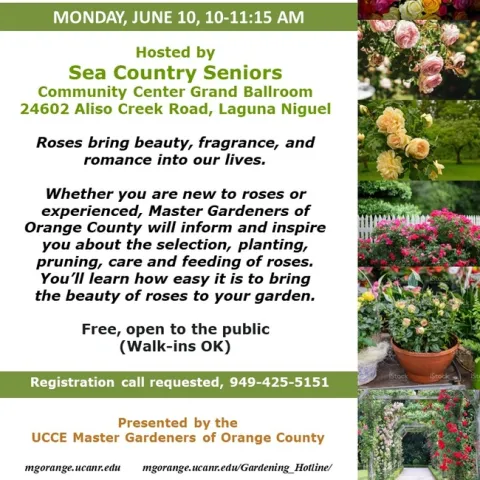 Transform Your Garden with Stunning Roses – Sign Up Now!