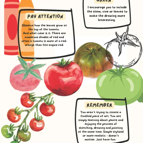 graphic by Lisa Rico