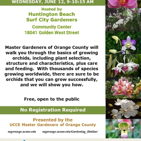 Discover the Beauty of Orchids: Join Our Growing Basics Workshop