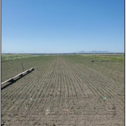 Screenshot 2024-06-07 at 5.49.59 PM