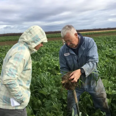 Two scientists look at soil in a field