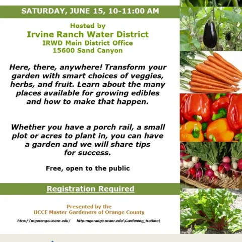 No Yard? No Problem! Learn to Grow Food Anywhere