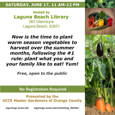 Kickstart Your Summer Garden – Warm Season Veggies Await