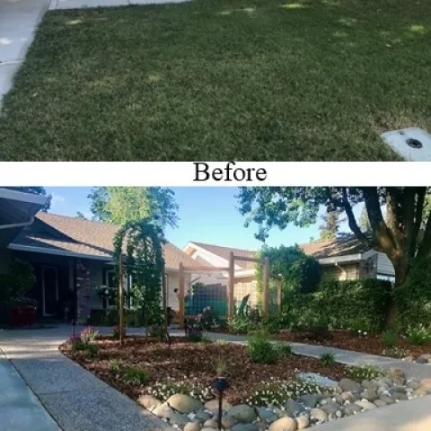 Feature 2 - Phibbs Pic 1