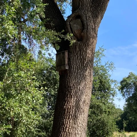 photos by Michelle Davis