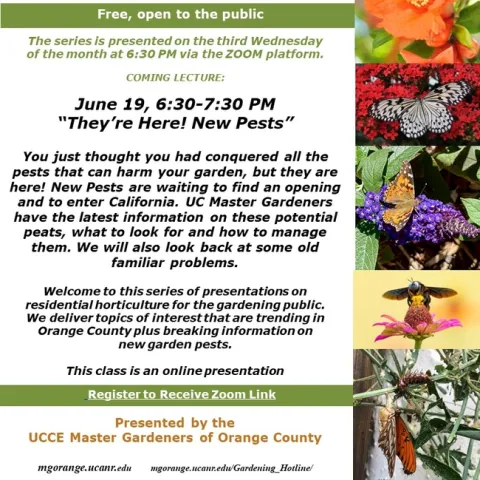 Conquer New Garden Pests: Learn How from the Experts – Sign Up Today