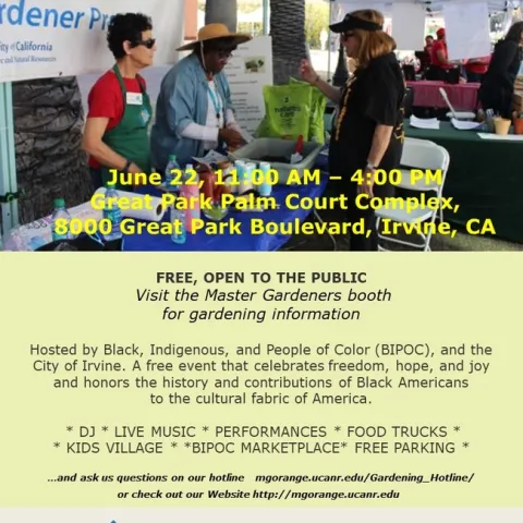 Join Us for the Annual Juneteenth Celebration – Free &amp; Open to All