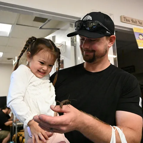 Three-year-old Everly Puckett checks out a stick insect held by her father, Ryan Puckett, a UC Davis employee. (Photo by Kathy Keatley Garvey)