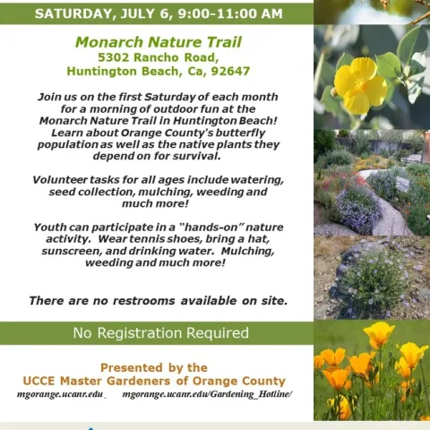 Support Monarch Butterflies – Volunteer at the Nature Trail!