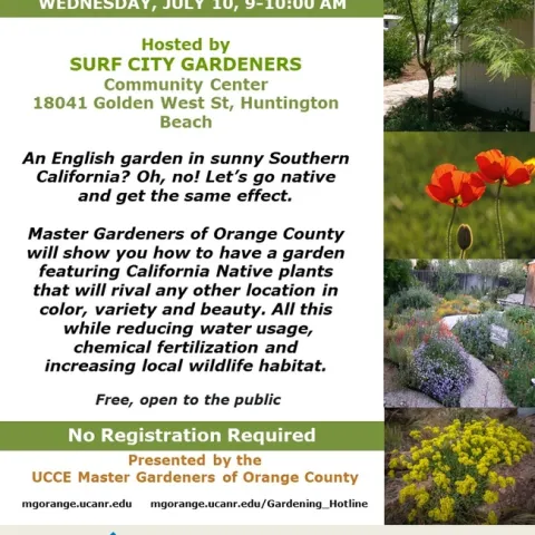 Go Native! Design a Colorful, Eco-Friendly Garden in California