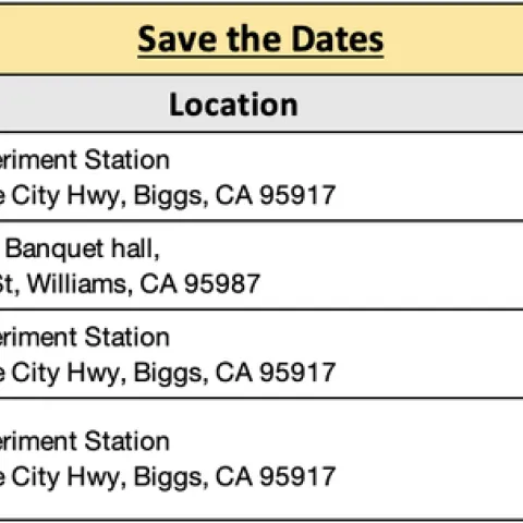 Screenshot 2024-06-21 at 8.58.19 AM