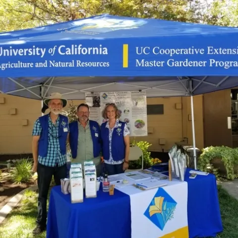 Three volunteers under a blue tent smiling.