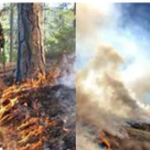 Images with fire. Photos from UC ANR.